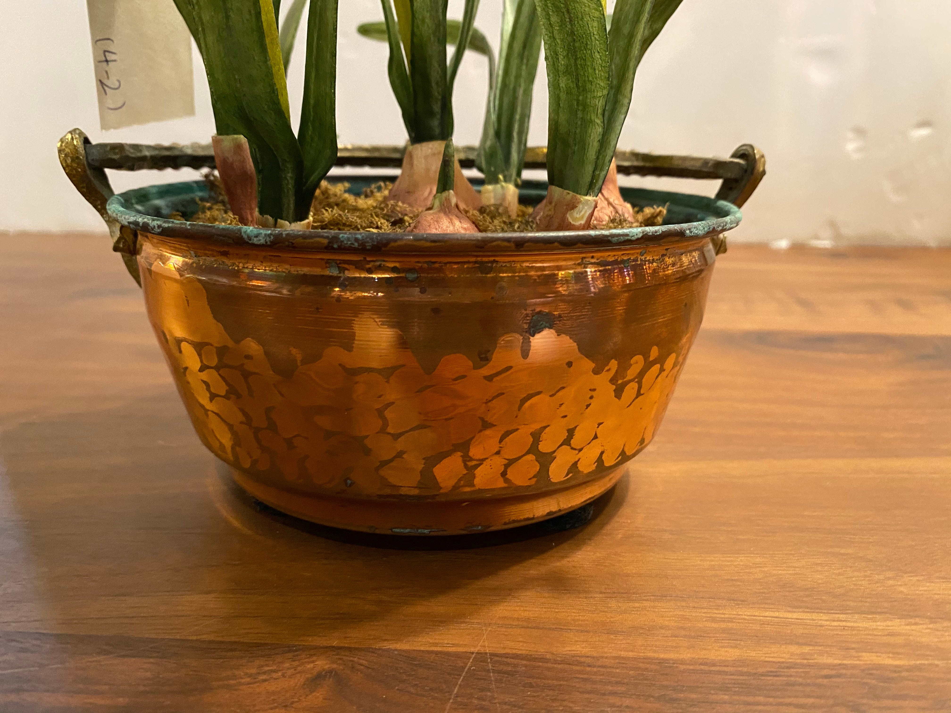 Copper Planter