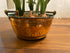 Copper Planter