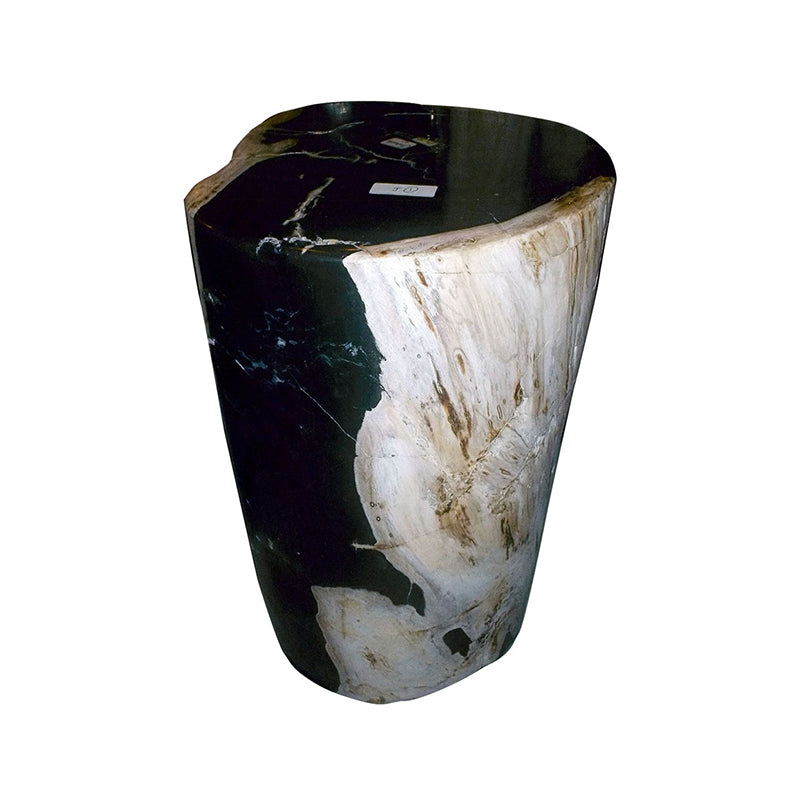 PETRIFIED WOOD STOOL (SQUID)