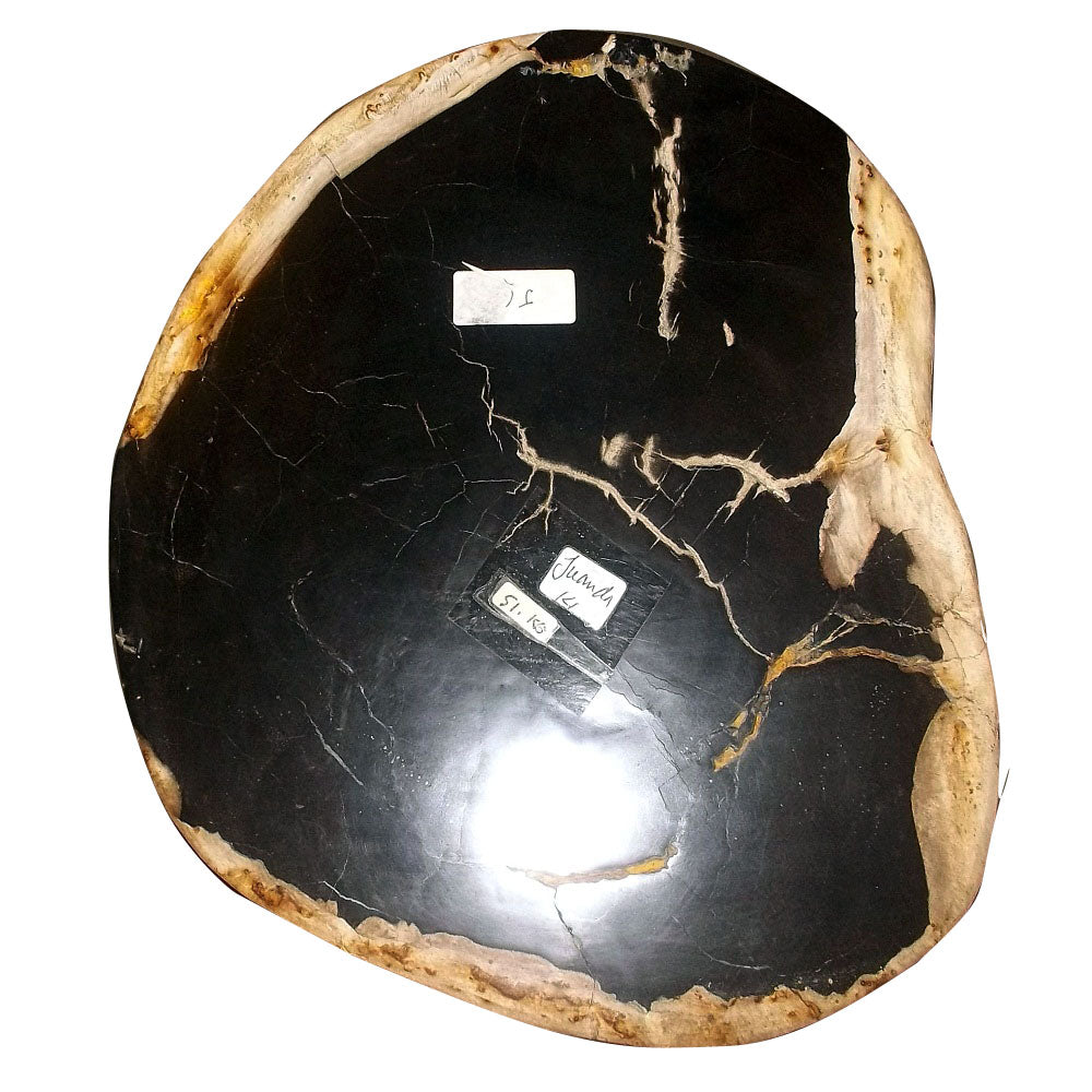 PETRIFIED WOOD STOOL (SQUID)