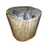 PETRIFIED WOOD STOOL (BIG BANG)