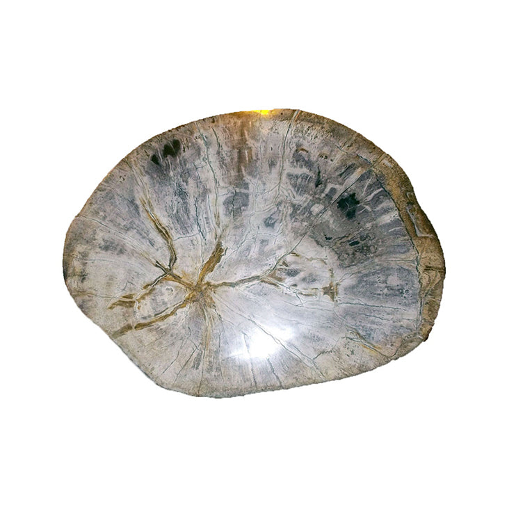 PETRIFIED WOOD STOOL (BIG BANG)