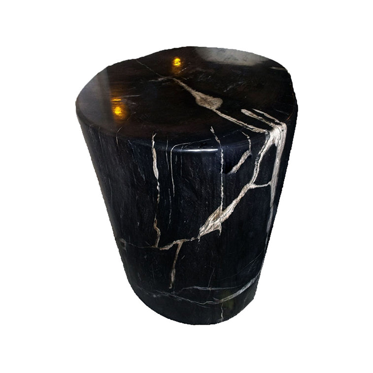 PETRIFIED WOOD STOOL (JUPITER)