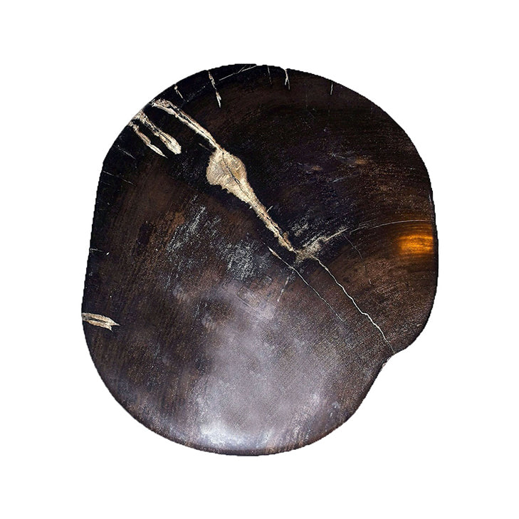 PETRIFIED WOOD STOOL (JUPITER)