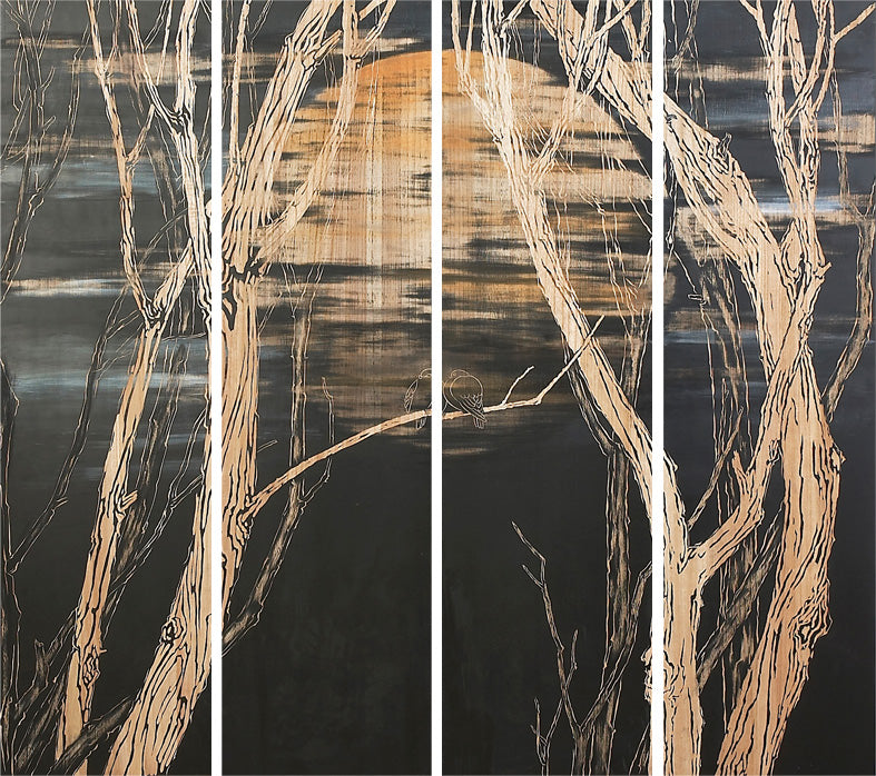 Gazing thru darkness