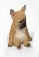 Faune Chiot Assis 18 cm