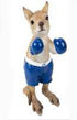 Pop Kangourou Boxeur 22 cm