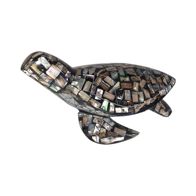 Trio adult Turtle