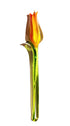 Glass Tulip Flower Figurine