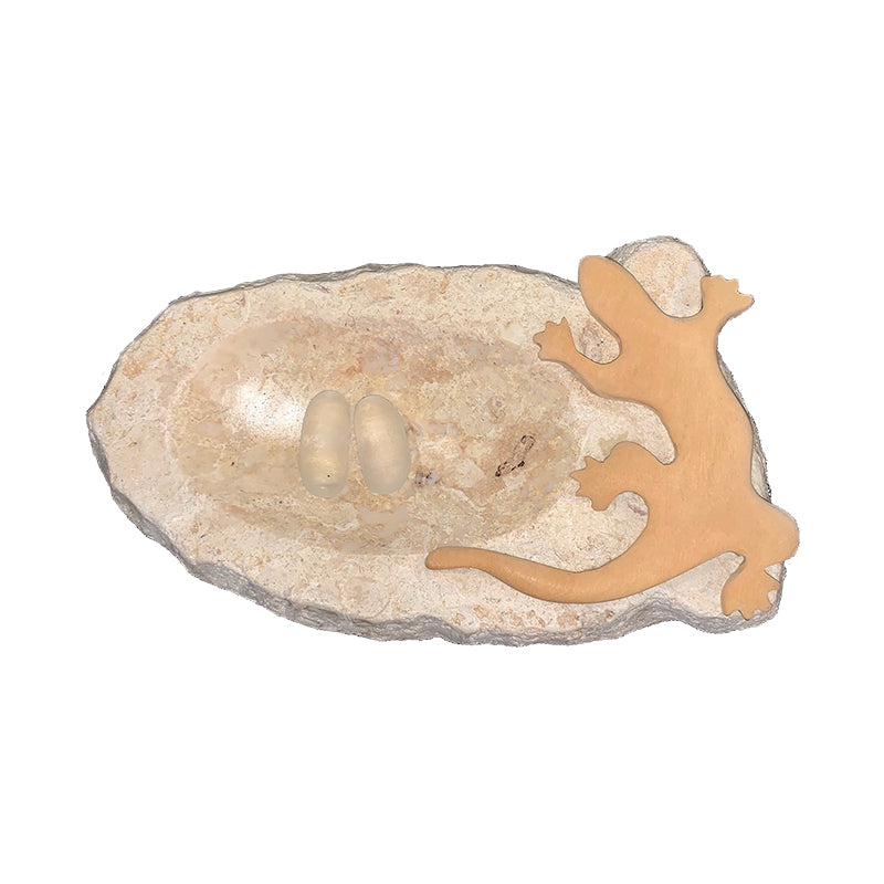 Lizard on marble soap dish