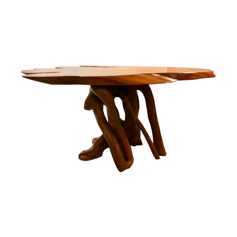acacia wood free form tea table on natural vine legs