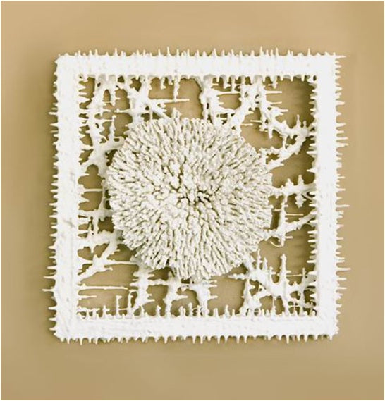 Coral Crazy Cut Frames