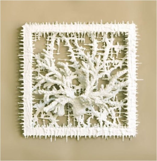 Coral Crazy Cut Frames