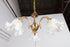 Rococo Chandelier