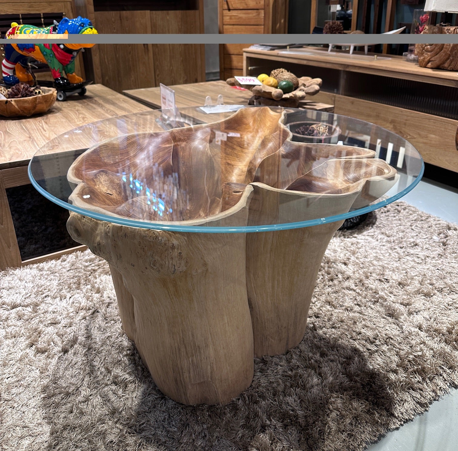 Big spoon teak root coffee table