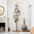 Glycine Bookcase Single