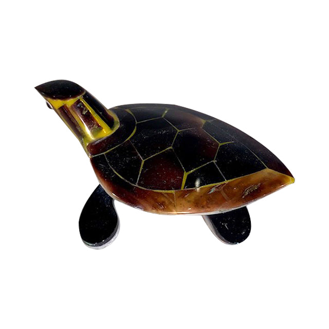 Fab 4 the Turtle