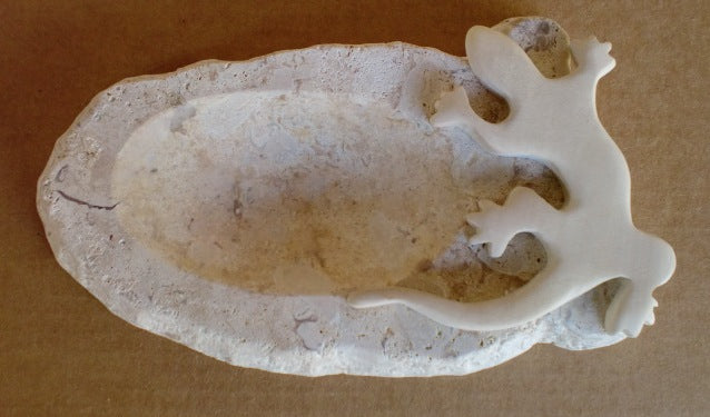 STONE, WOOD, with white marble, whitewood lizard finish