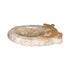 Lizard on marble soap dish