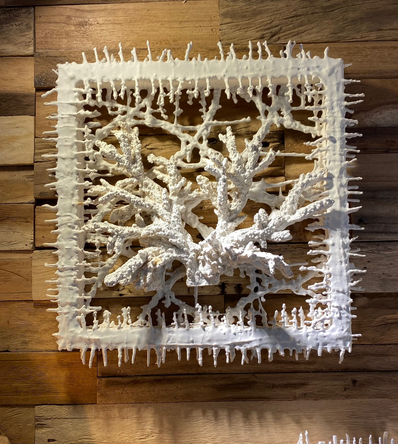 Coral in Crazy Cut Frames